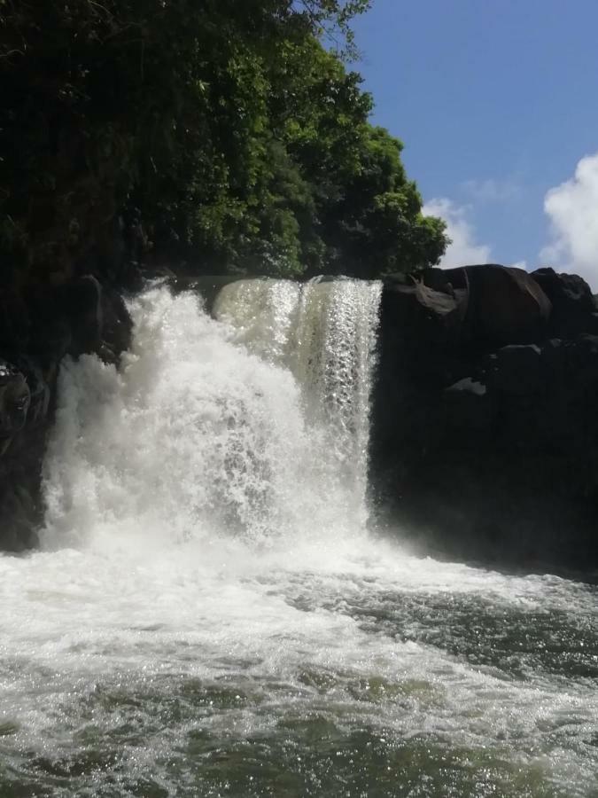 Riverside Holiday Home Grand River South East المظهر الخارجي الصورة